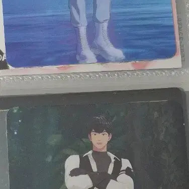 [BUNJANG] PLAVE Bundle Set Photocard / 플레이브 포카 일괄 탈덕 처분