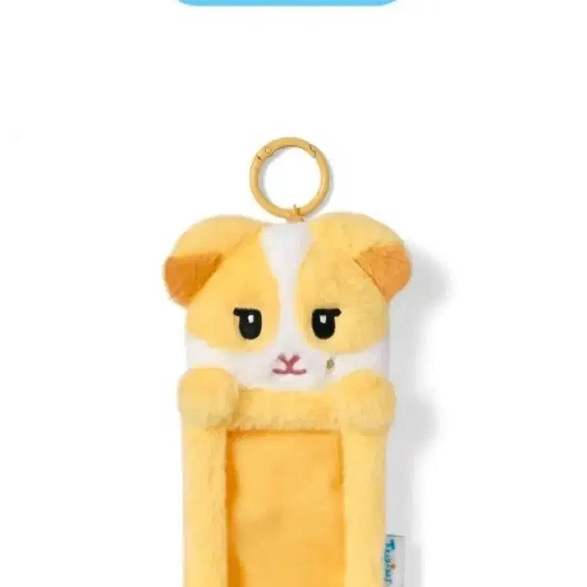 [BUNJANG] TWS Shinyu Photocard Holder New / 투어스 투위미 기츄니 영재 포카홀더 새상품