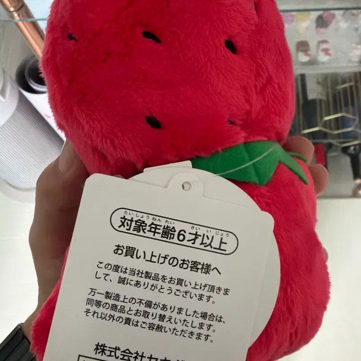 [BUNJANG] Fukuoka Strawberry Monchhichi / 후쿠오카 딸기 몬치치