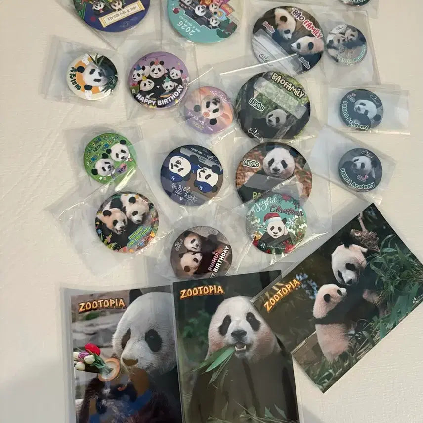[BUNJANG] FuBao Bao Family Badge Bundle Set / 푸바오 바오패밀리 뱃지 일괄판매
