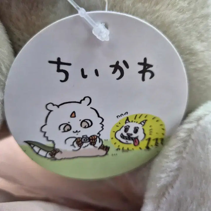 [BUNJANG] Chiikawa Anoko Big Plush Doll / 치이카와 아노코 빅 누이 인형