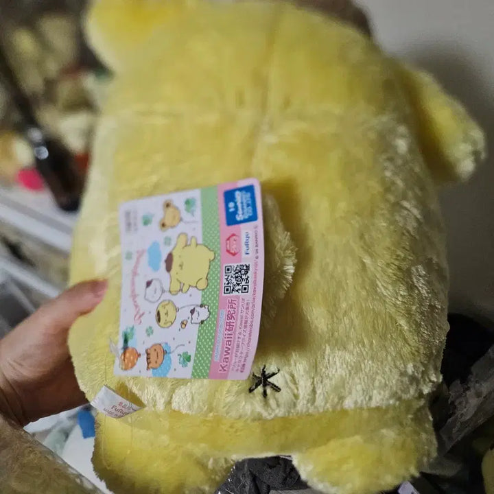 [BUNJANG] Pompompurin Plush Toy / 폼폼푸린 인형