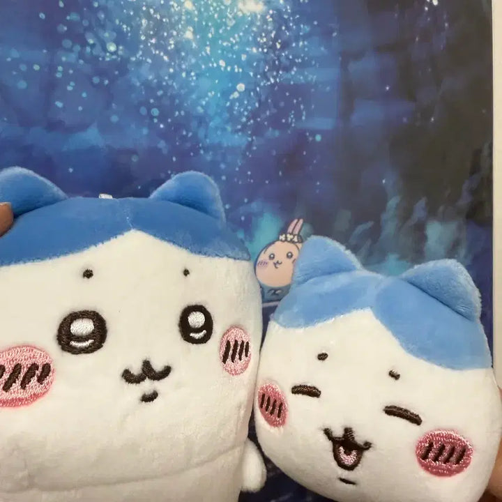 [BUNJANG] Miniso Hachiwara "Sleeping" &amp; "Sitting" Plush Set / 미니소 하치와레 엎드린 앉은 누이 일괄