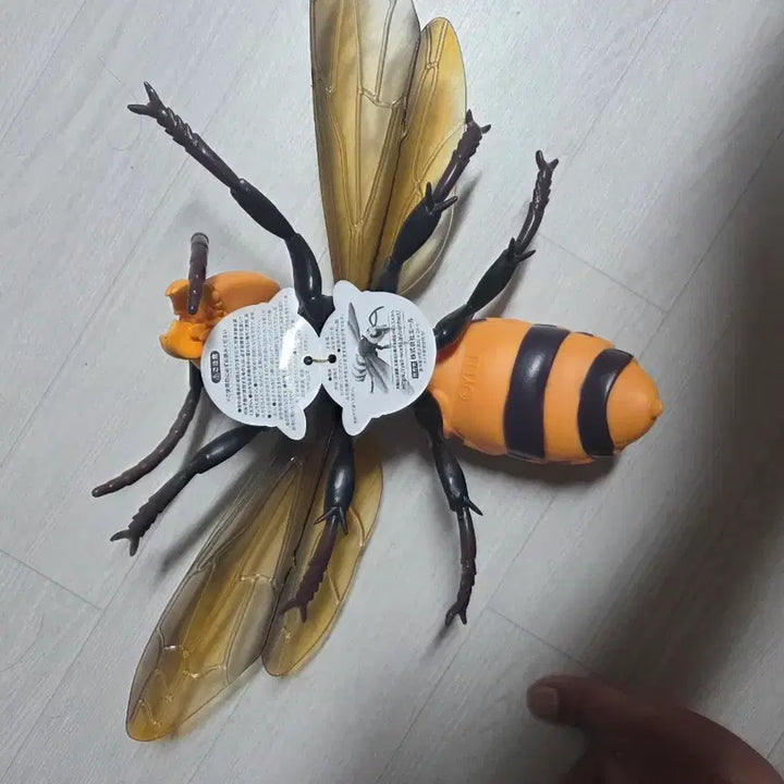 [BUNJANG] Realistic Large Wasp Figure / 리얼 BIG 사이즈 피규어, 말벌