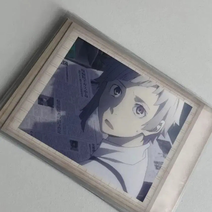 [BUNJANG] Bungo Stray Dogs Atsushi Pasha Bundle Set / 문스독 문호스트레이독스 아츠시 파샤 일괄판매