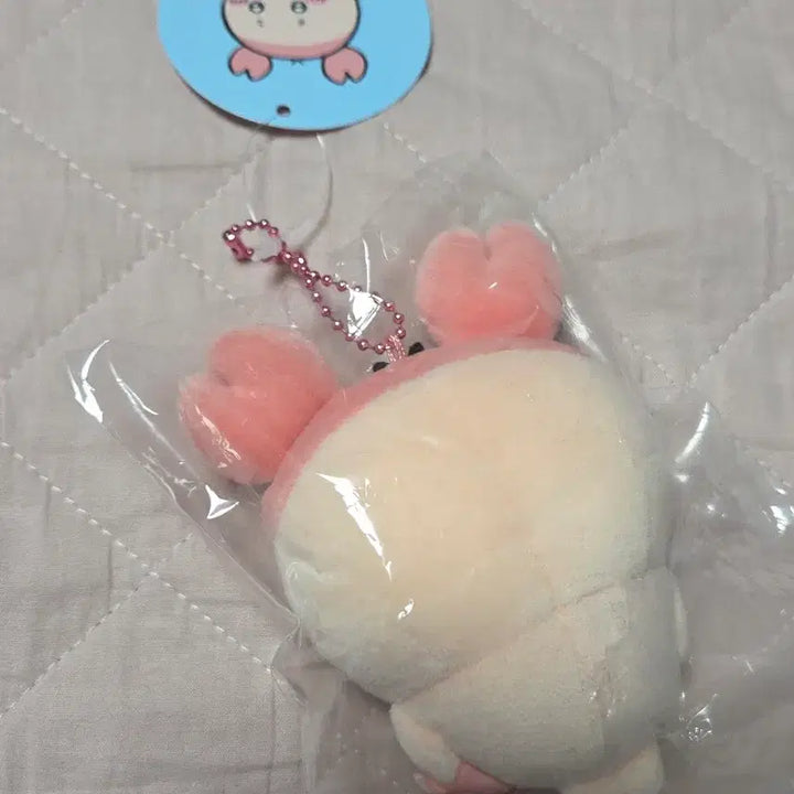 [BUNJANG] Chiikawa Kani Bookstore Basic Mascot / 치이카와 카니 헌책방 기본 마스코트