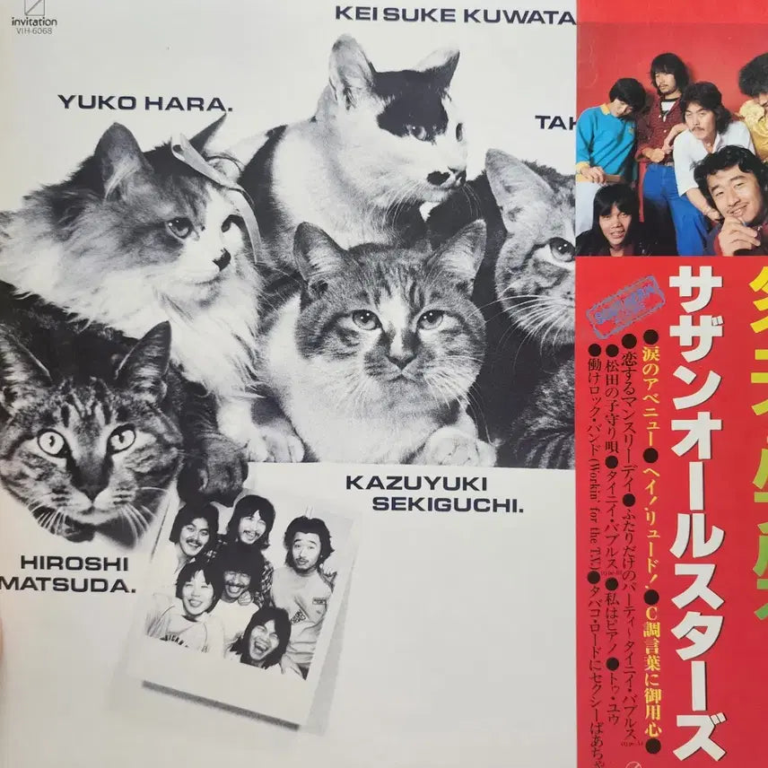 [BUNJANG] Southern All Stars Tiny Bubbles LP (1980) / 사잔 올 스타즈 Southern All Stars Tiny Bubbles LP