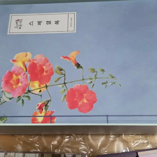 [BUNJANG] The Red Sleeve Photo Essay &amp; Blu-ray Set / 옷소매 붉은 끝동 포토에세이 및 블루레이 세트