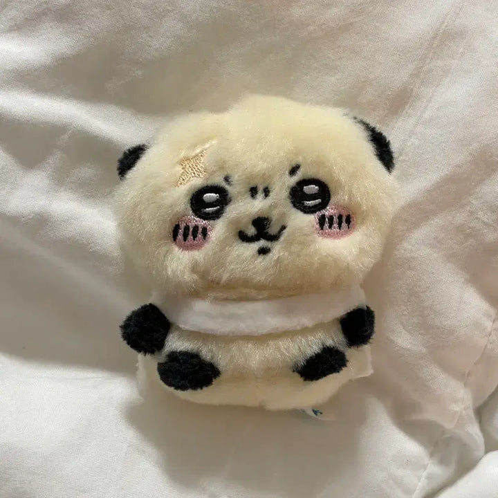 [BUNJANG] Chiikawa Rakkko Sitting Plush / 치이카와 랏코 앉은누이