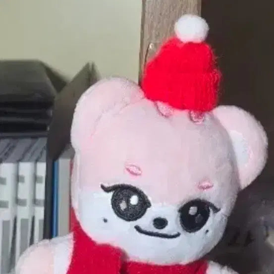 [BUNJANG] Rangyi Santa Doll / 이랑이 산타 인형