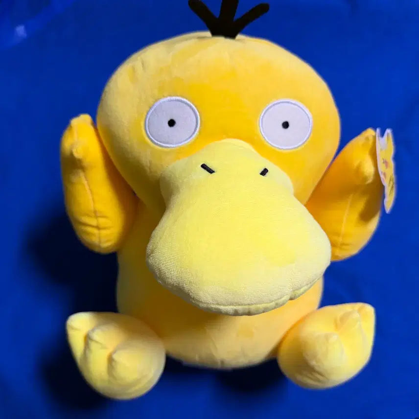 [BUNJANG] Pokemon Psyduck Plush Toy / 포켓몬스터 고라파덕 인형 새상품