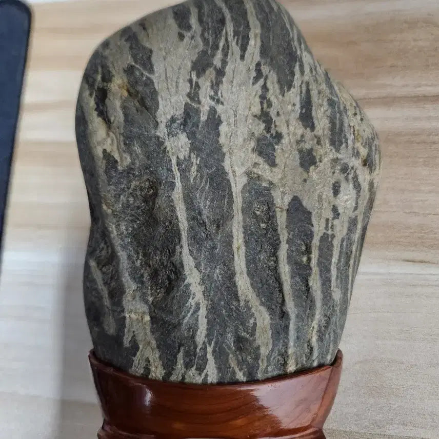[BUNJANG] Rare Scholar Stone with Aquatic Plant Pattern / 수석 수초문양 수석입니다