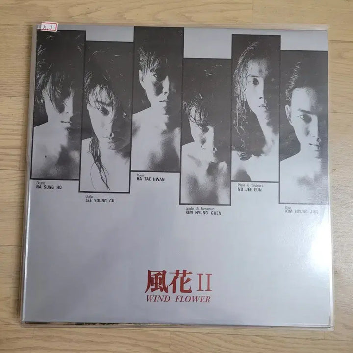 [BUNJANG] Young Family Series LP Collection / 영패밀리 시리즈 외 4장 LP