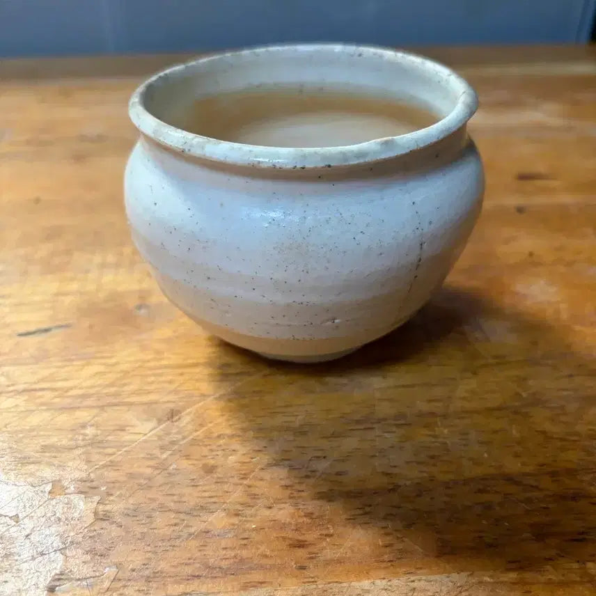 [BUNJANG] Wanmangcheongcho Porcelain (Damaged) / 원망청초 도자기(파손)