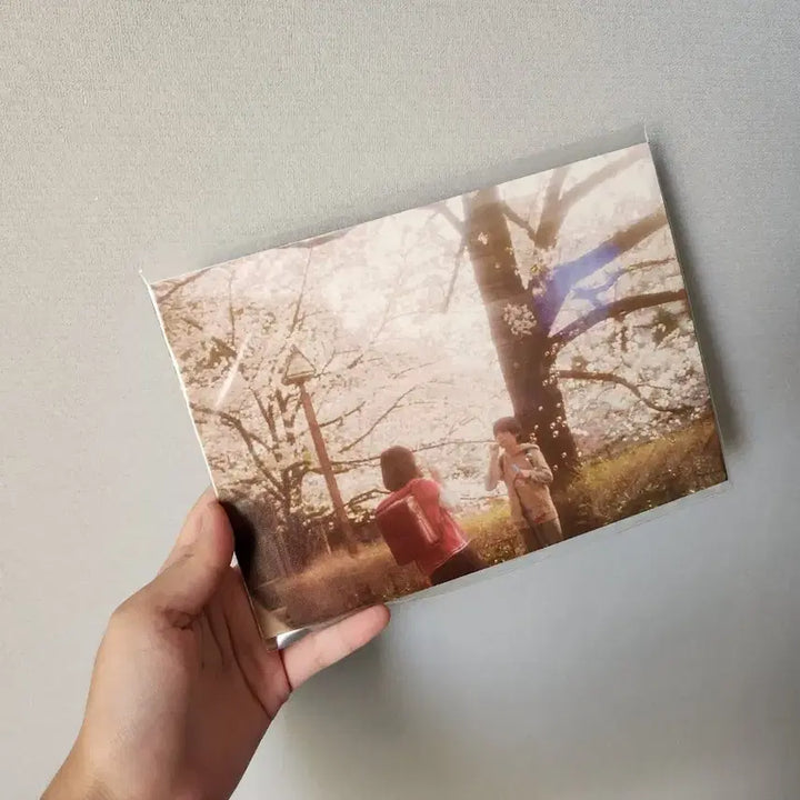 [BUNJANG] 5 Centimeters Per Second Movie Postcard / 초속 5cm 영화 엽서