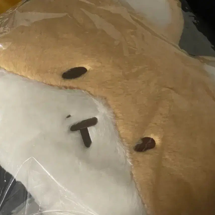 [BUNJANG] Sealed Face Cushion / (가격고정) 터래기 얼굴 쿠션 미개봉
