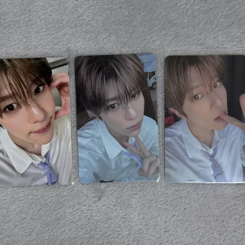 [BUNJANG] NCT WISH Sion Steady Photocard Bundle Set / 엔시티위시 시온 스테디 포카 일괄 양도