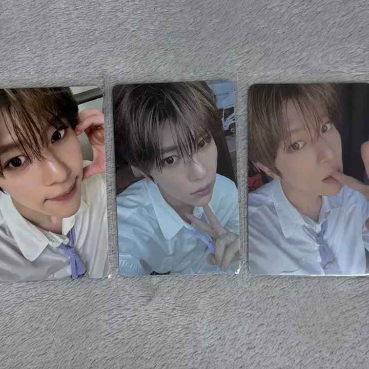 [BUNJANG] NCT WISH Sion Steady Photocard Bundle Set / 엔시티위시 시온 스테디 포카 일괄 양도