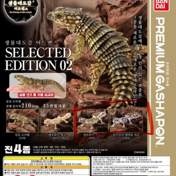 [BUNJANG] Leopard Gecko Bundle Set / 생물대도감 레오파드게코 일괄판매