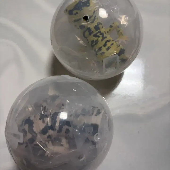 [BUNJANG] Leopard Gecko Bundle Set / 생물대도감 레오파드게코 일괄판매