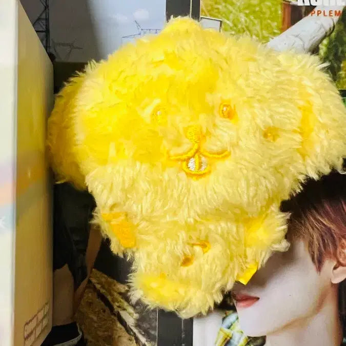 [BUNJANG] NCT WISH Doyoung Color Doll DAE-treeber Jaehee / 엔시티위시 컬러돌 댕트리버 재희