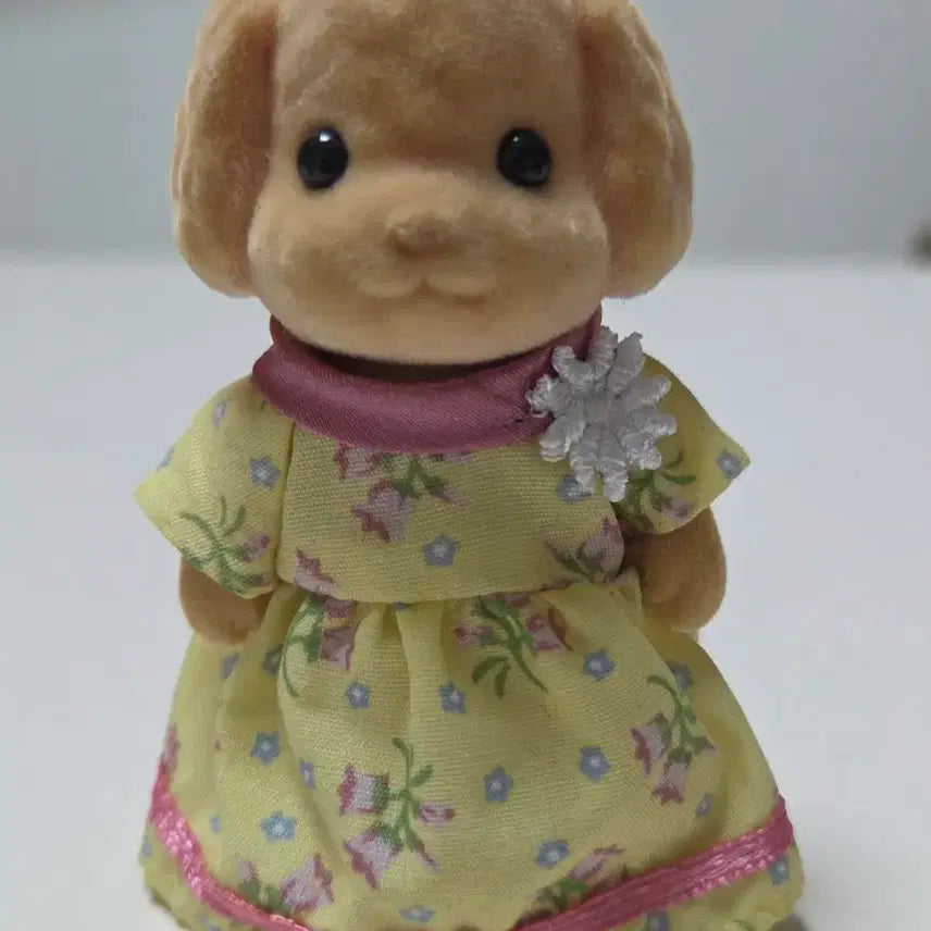 [BUNJANG] Sylvanian Families Toy Poodle Bundle Set / 실바니안 토이푸들 일괄 판매