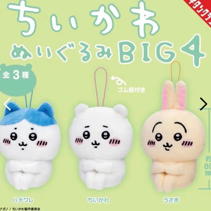 [BUNJANG] Chiikawa "Big 4" Sitting Plush / 치이카와 앉은누이 big4
