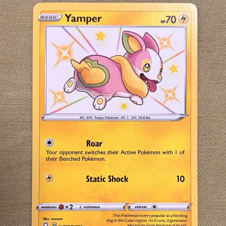 [BUNJANG] Pokemon Trading Card English Version / 멍파치 포켓몬카드 영문판 영어