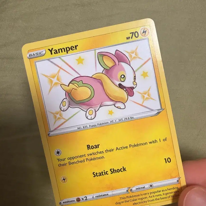 [BUNJANG] Pokemon Trading Card English Version / 멍파치 포켓몬카드 영문판 영어