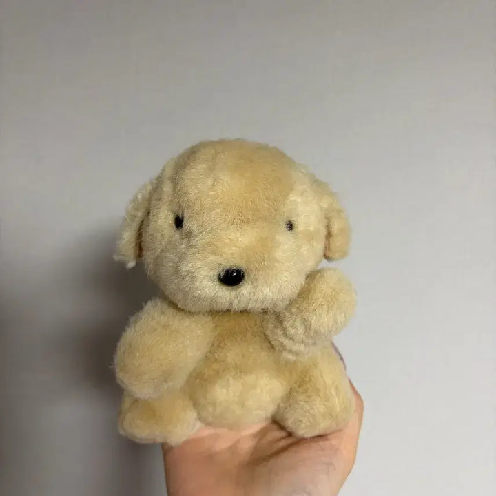 [BUNJANG] Vintage Dog Plush / 빈티지 강아지 인형