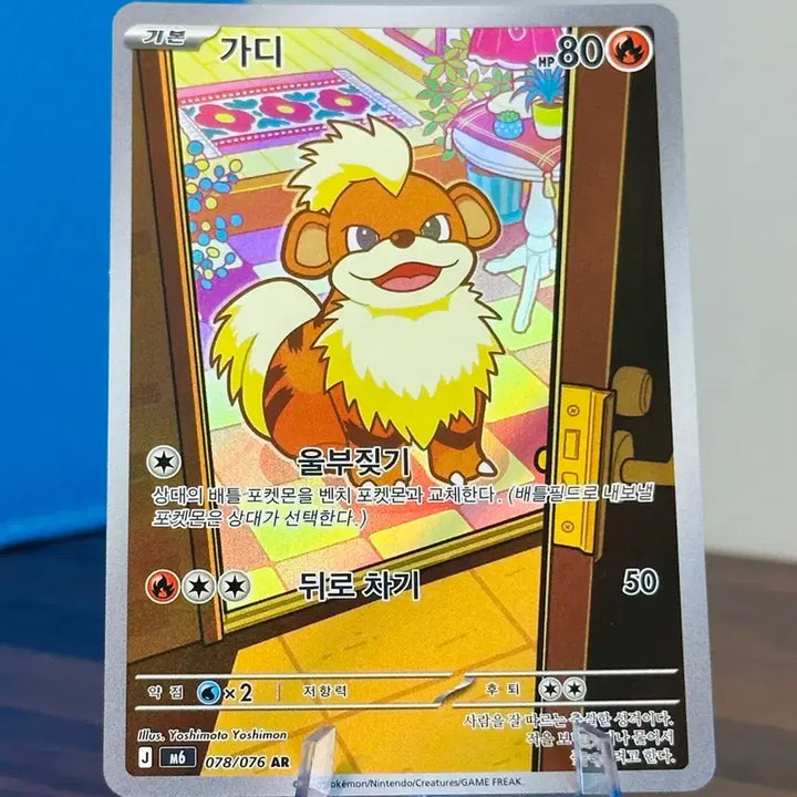 [BUNJANG] Pokemon Card Gardie AR / 포켓몬 카드 가디 AR