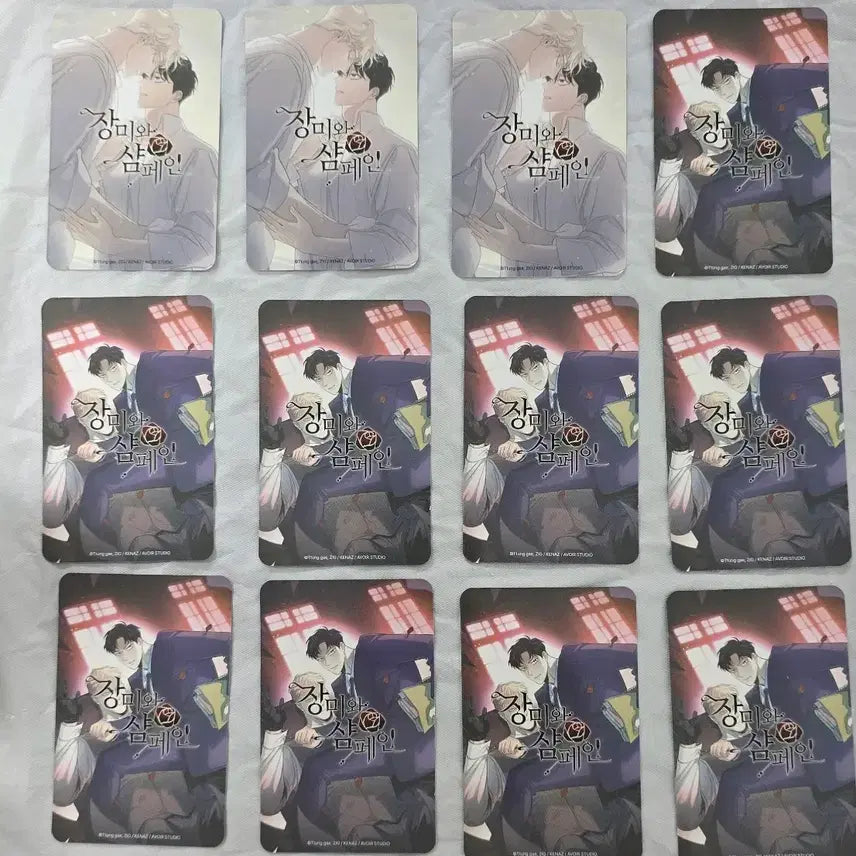 [BUNJANG] 장미와샴페인 The Pack Photocard / 장미와샴페인 the pack 포토카드