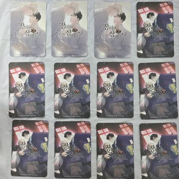 [BUNJANG] 장미와샴페인 The Pack Photocard / 장미와샴페인 the pack 포토카드