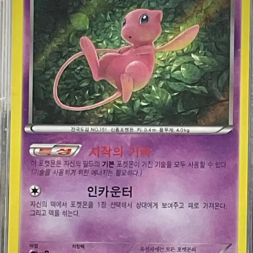 [BUNJANG] Mew - Vintage Pokémon Card / (무료배송) 옛날 뮤