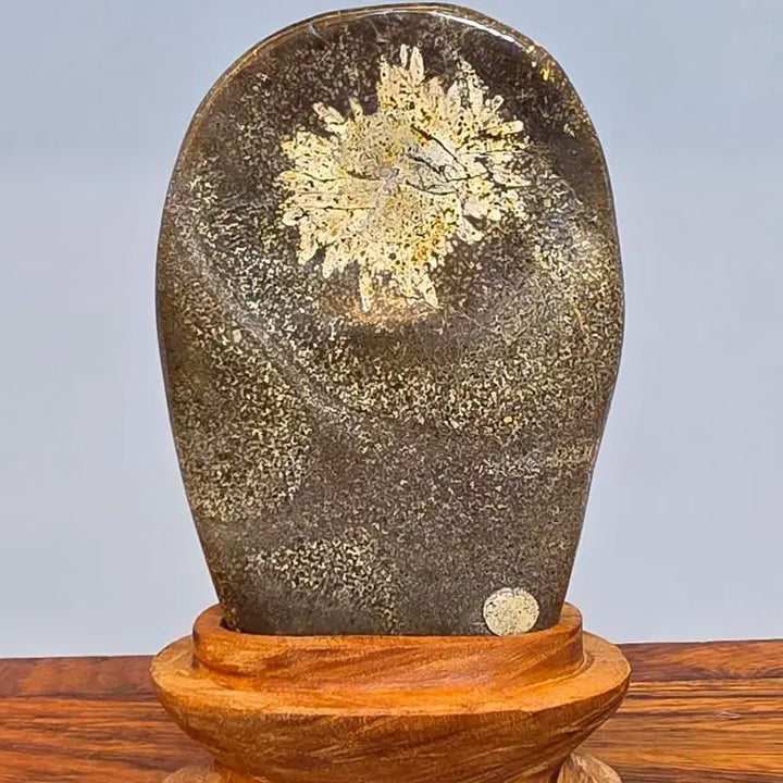 [BUNJANG] Chrysanthemum Stone Flower Stone - Large / 26100710 한송이 꽃이 활짝 잘핀 청송 국화석 꽃돌 수석 팝니다
