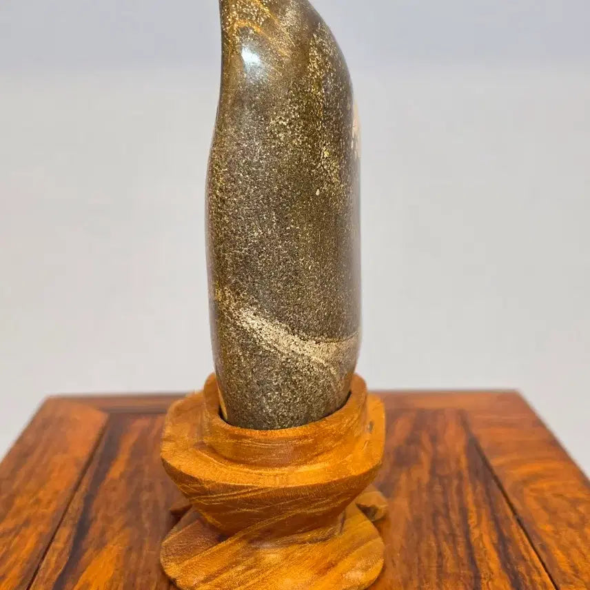 [BUNJANG] Chrysanthemum Stone Flower Stone - Large / 26100710 한송이 꽃이 활짝 잘핀 청송 국화석 꽃돌 수석 팝니다