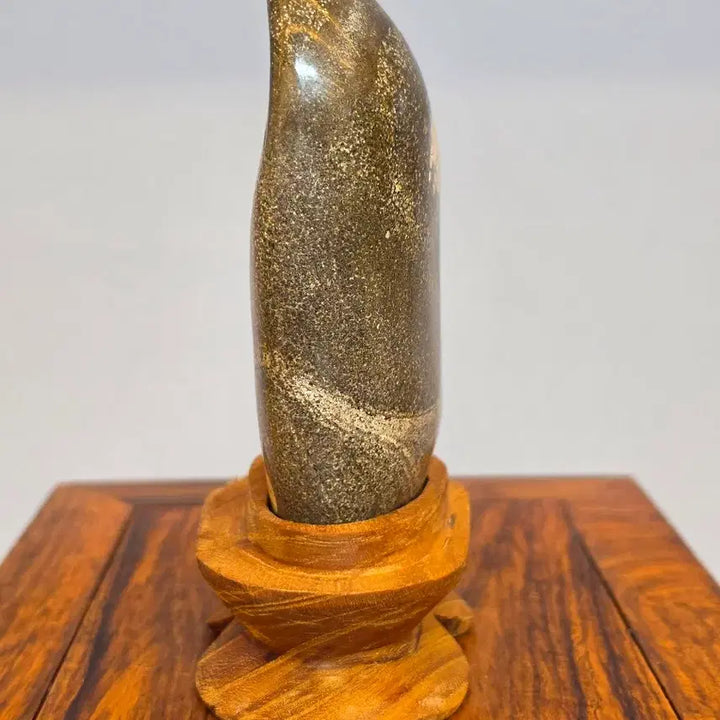 [BUNJANG] Chrysanthemum Stone Flower Stone - Large / 26100710 한송이 꽃이 활짝 잘핀 청송 국화석 꽃돌 수석 팝니다