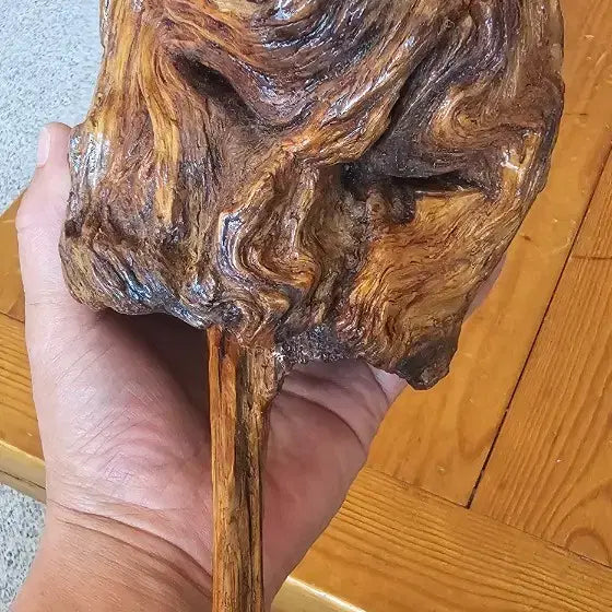 [BUNJANG] Gnarled Pine Root Sculpture / 소나무뿌리 송근