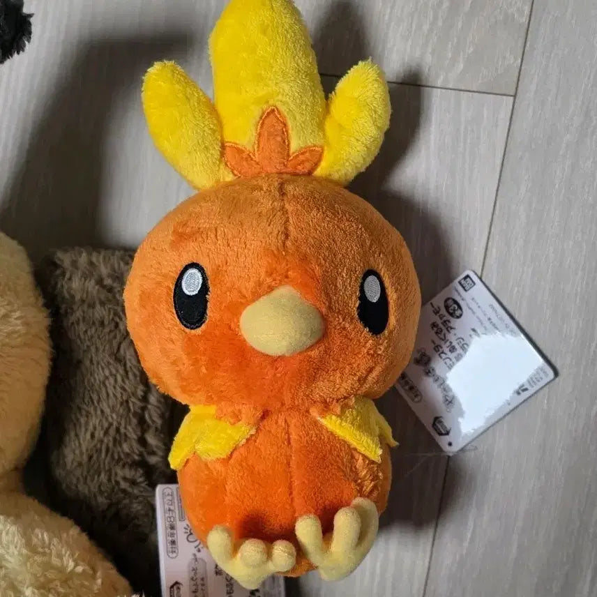 [BUNJANG] Pokemon Torchic Fluffy Plush (Gentle Touch Nuigurumi) / 포켓몬스터 아차모 복실복실 인형 (야사시이키모치 누이구루미)