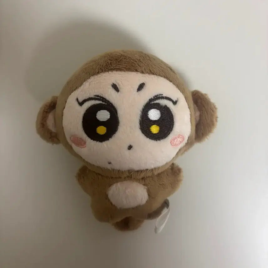 [BUNJANG] ENHYPEN Jungwon Plush / 엔하이픈 정원 인형 쩡숭이