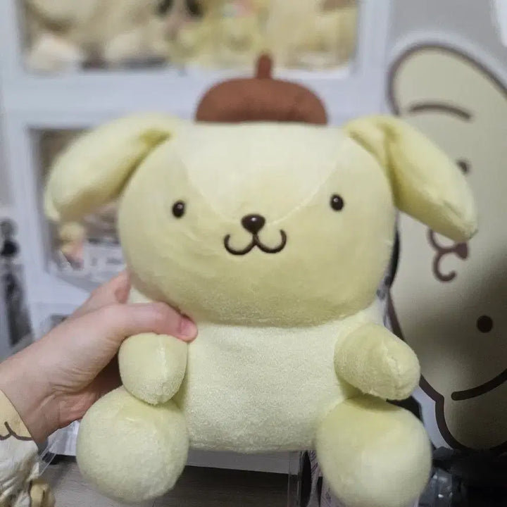 [BUNJANG] Pompompurin Classic Plush Doll / 고전 폼폼푸린 인형