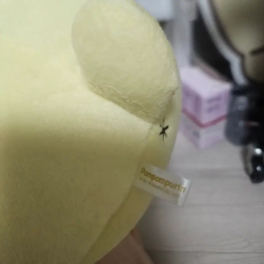 [BUNJANG] Pompompurin Classic Plush Doll / 고전 폼폼푸린 인형