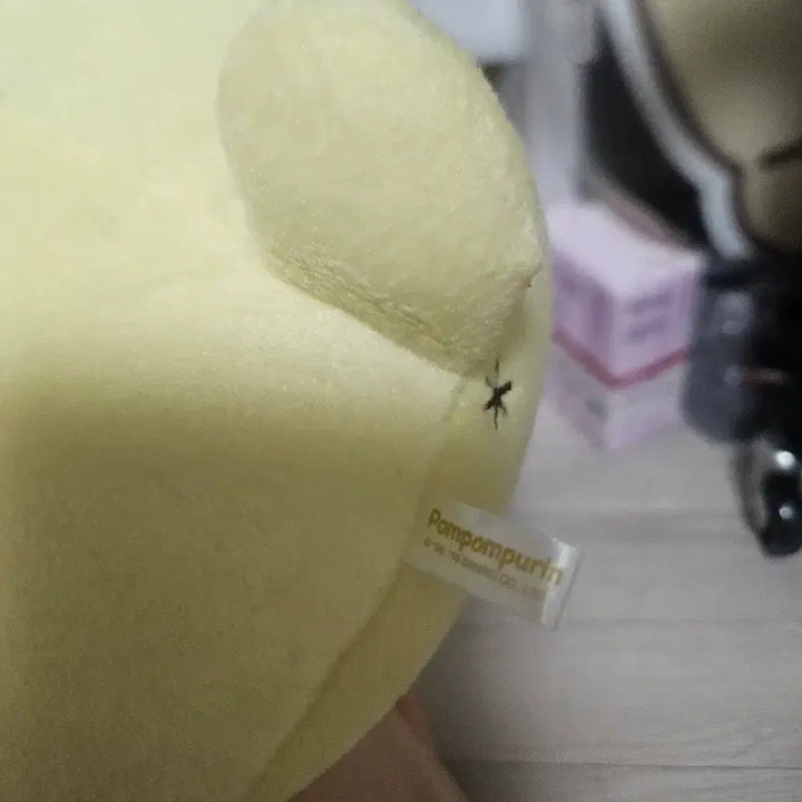 [BUNJANG] Pompompurin Classic Plush Doll / 고전 폼폼푸린 인형