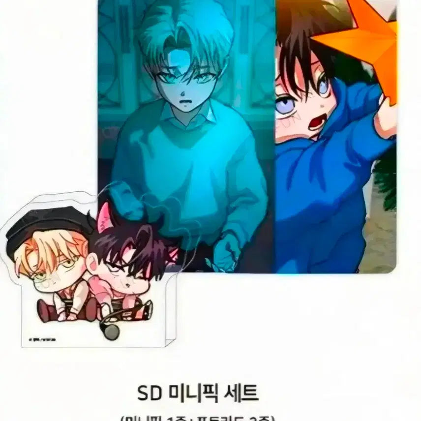 [BUNJANG] Flashlight SD Mini Photo Card Set / 플래시라이트 SD 미니픽 세트