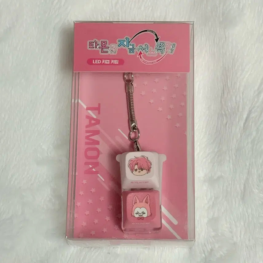 [BUNJANG] Tamons Popable Popup Cafe LED Keyring Tamons / 타몬군 지금 어느 쪽 팝퍼블 팝업 카페 LED 키캡 키링 타몬
