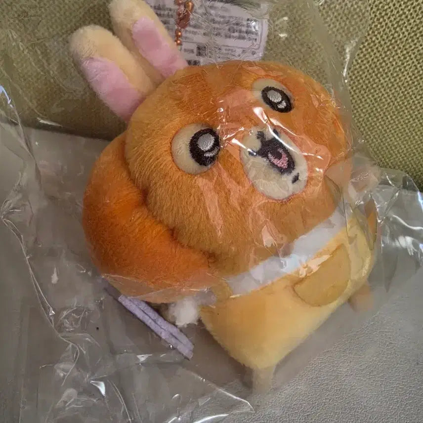 [BUNJANG] Chiikawa Halloween Pumpkin Usagi (Housagi) Plush / 치이카와 할로윈 호박 우사기 호사기 먼작귀