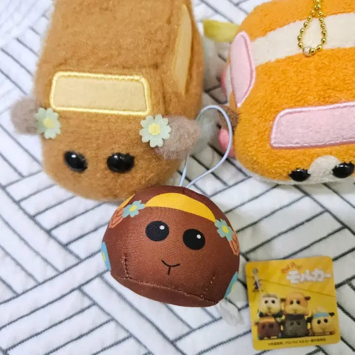[BUNJANG] Morucca Choco, Potato, Shiromo Plushie Bundle Set / 뿌이뿌이 모루카 초코 포테이토 시로모 인형 일괄