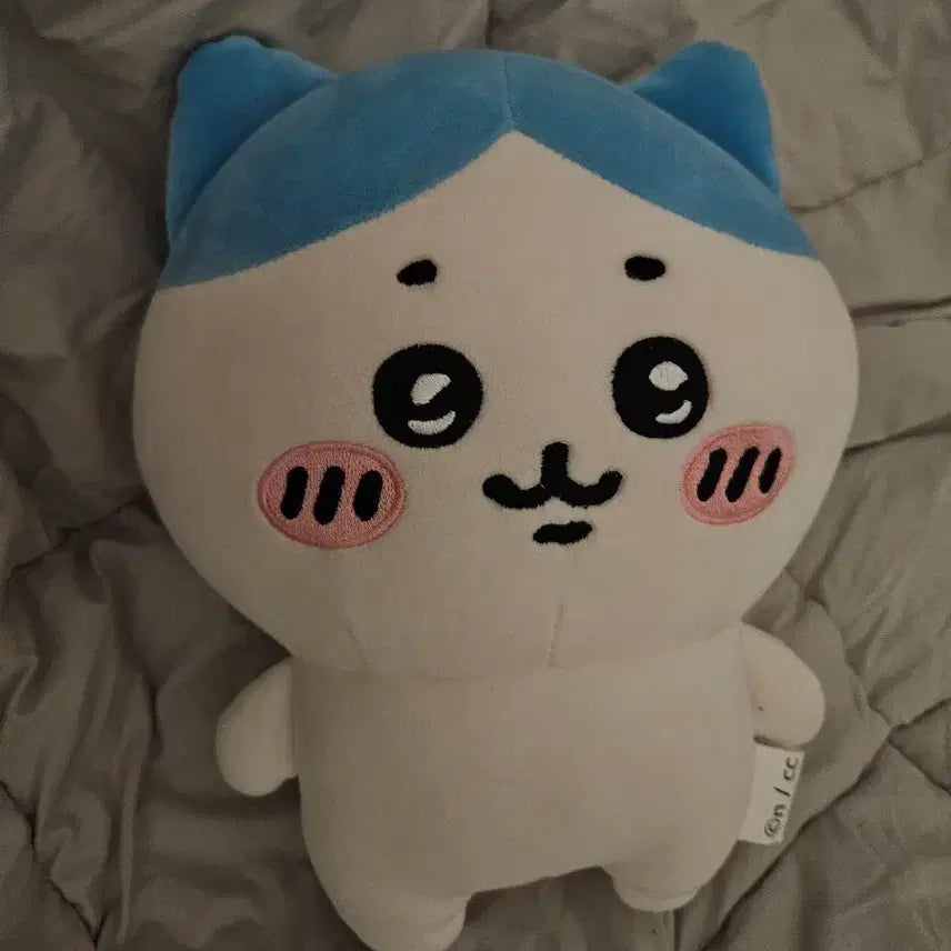 [BUNJANG] Chiikawa Hachiwara Plush / 하치와레 인형