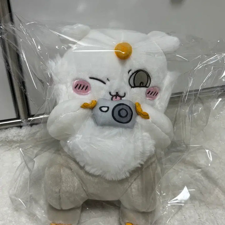 [BUNJANG] Chiikawa Anoko Camera Big Plush Doll / 먼작귀 치이카와 아노코 카메라 인형 big 누이