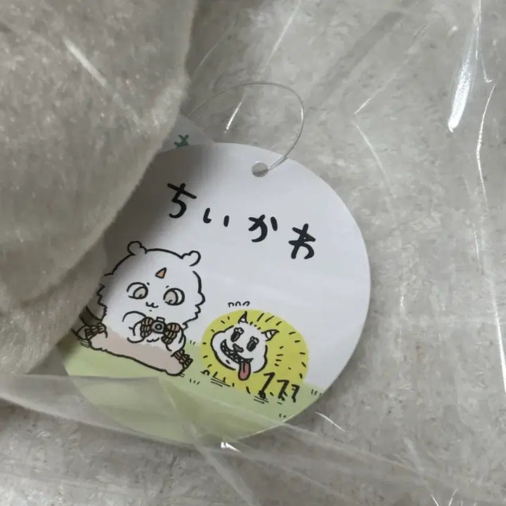 [BUNJANG] Chiikawa Anoko Camera Big Plush Doll / 먼작귀 치이카와 아노코 카메라 인형 big 누이